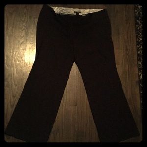 Black Torrid Dress Pant 20 Regular